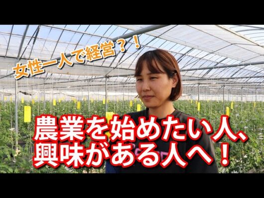 農業応援動画「WAKIチャンネル」再開しました